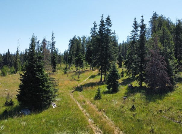 Parcel 10 Green Valley RD, Fernwood, ID 83830