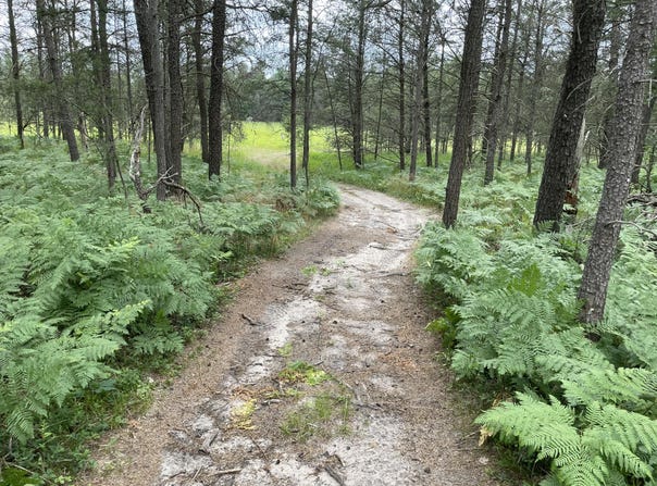 00 E 10 Mile Road, Irons, MI 49644