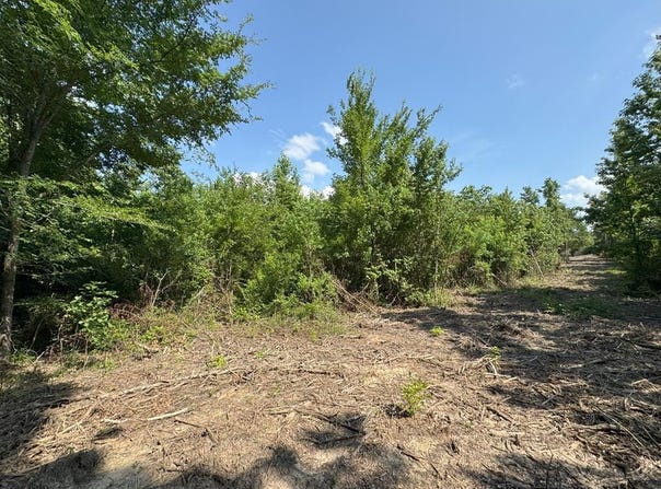 TBD County Road 4855, Timpson, TX 75975