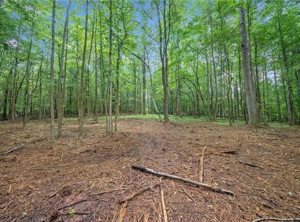 14880 Freemanville Road, Milton, GA 30004