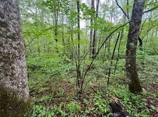 Lot 103 Bear Den Trl, Grandview, TN 37337