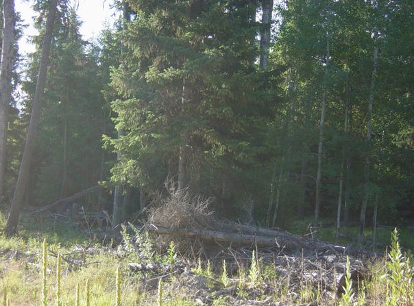 NHN ACM Road S, Libby, MT 59923