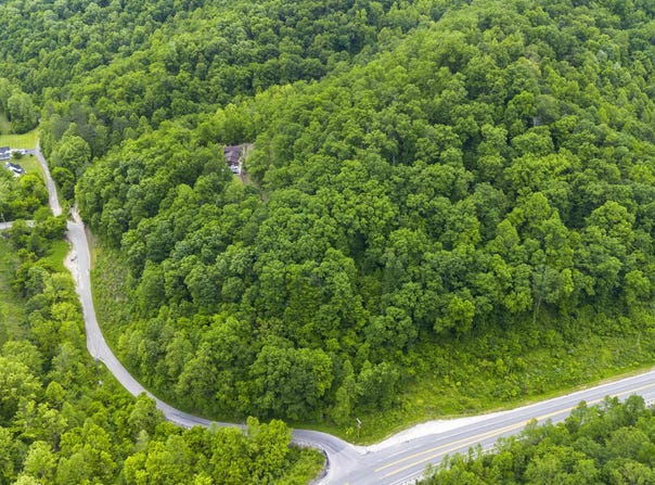 166 Webb Branch Road, Crum, WV 25669