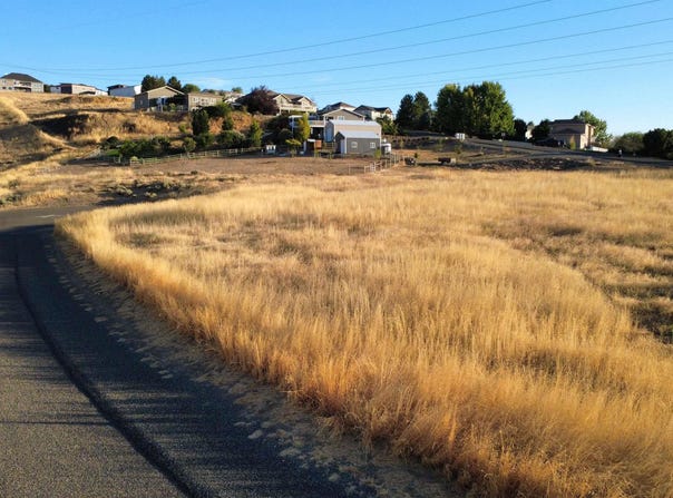 2600 Dove Road (Lot 29 Dove Replat), Clarkston, WA 99403
