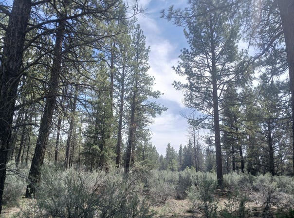 Moccasin Lane, Chiloquin, OR 97624