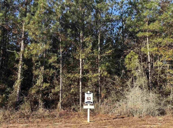Straw Bridge Rd lot: 63, Jay, FL 32565