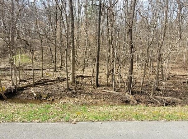 1 Lakeshore Cir, DOVER, TN 37058