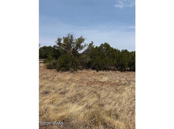 8700 Silver Creek Drive, Show Low, AZ 85901