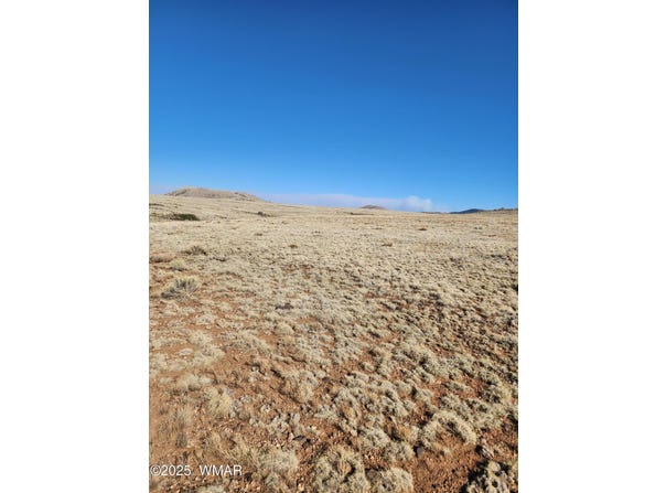 Tbd 340, Concho, AZ 85924