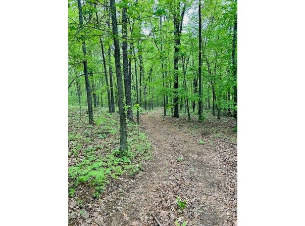 Tract D Madison CR 5450, Elkins, AR 72727