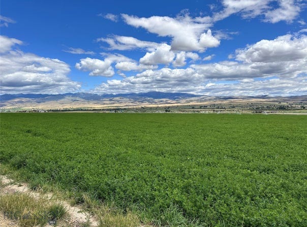 Spring Canyon RD lot: 1A, Alder, MT 59710