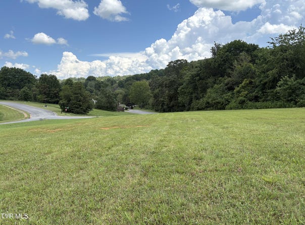 .92 Ac Bedford Circle, Greeneville, TN 37743