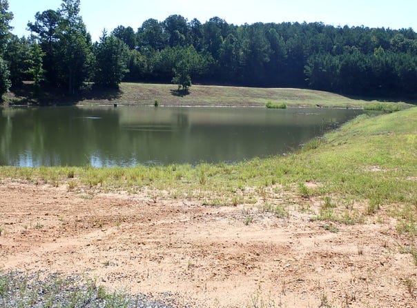 0 Highway 82 East, Centreville, AL 35042