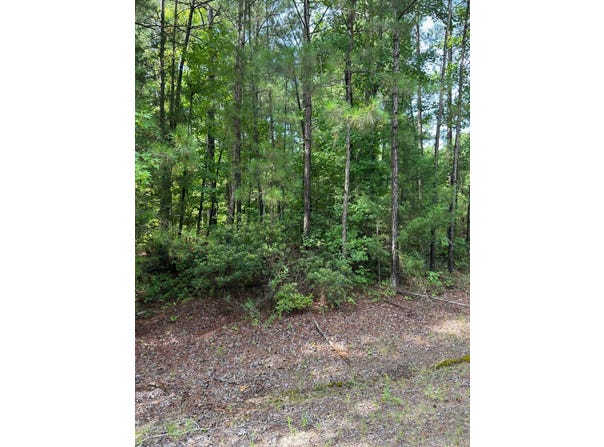 00 Columbia Road 36, Magnolia, AR 71753