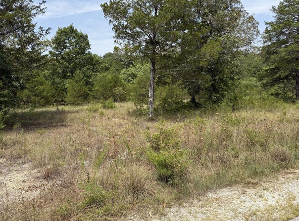 272 Beechwood Drive, Branson West, MO 65737