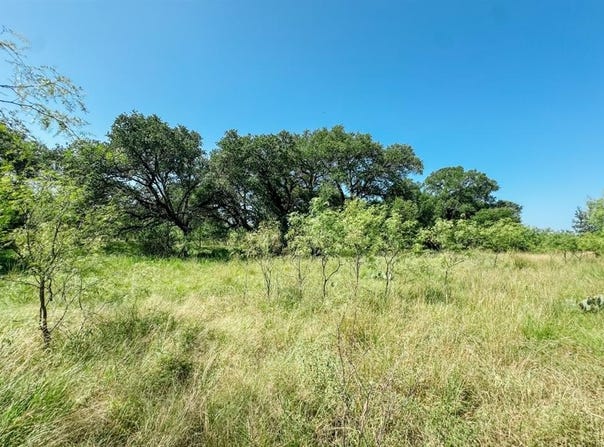 Lot 6 Morris Sheppard Drive, Brownwood, TX 76801