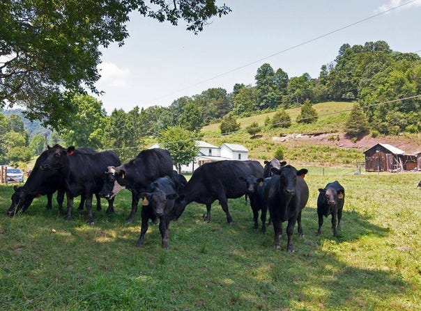 2642 Madam Creek, Hinton, WV 25951