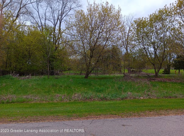 W Riverview Drive, Perry, MI 48872