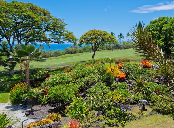 78-7030 ALII DR unit: 405, Kailua-Kona, HI 96740