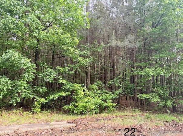 Spruce Cv (Lot 22), Monticello, AR 71655
