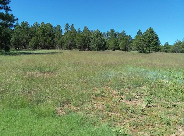 344 Forest Rd 83, Pecos, NM 87552