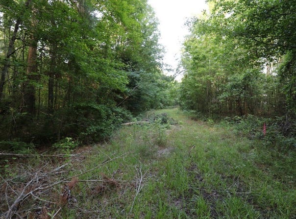 0 Kings Mill Road Tract B, Wrens, GA 30833