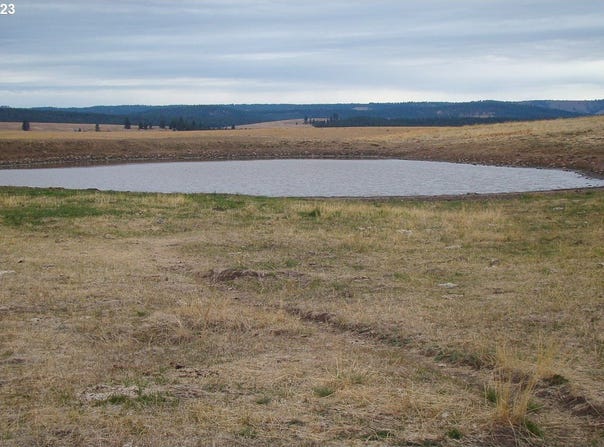 Lewis Rd, Enterprise, OR 97828