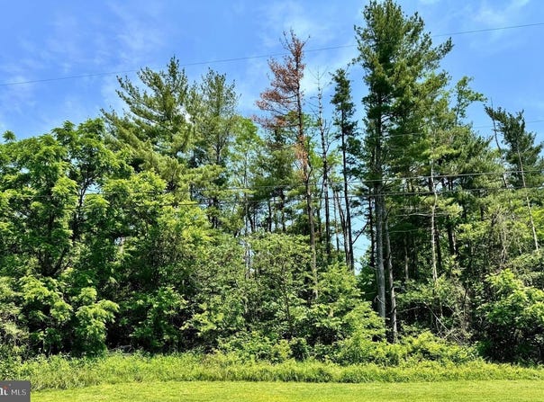FIRTREE LN, CRESAPTOWN, MD 21502