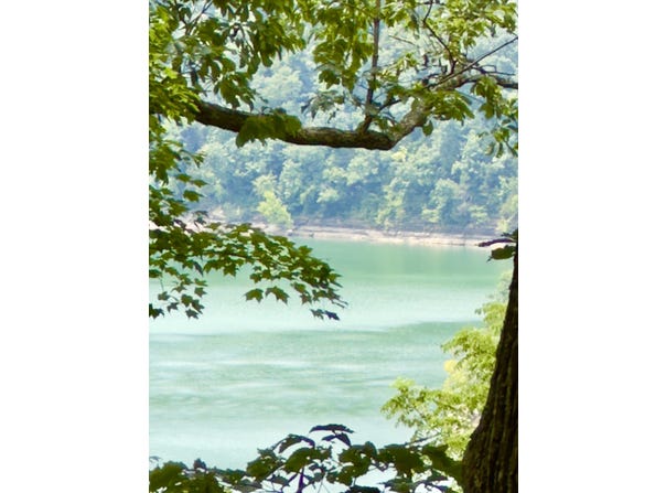 478 Eagles Bluff Road, Monticello, KY 42633