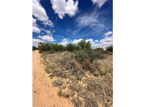 HIDALGO AV, Colorado City, TX 79512