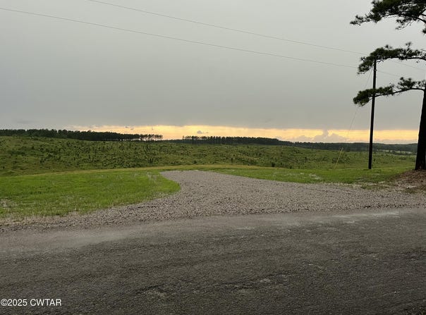 0 Otis Paine Road, Bethel Springs, TN 38315