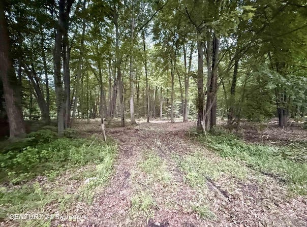 Seymour Road, Burt, MI 48417