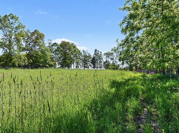 E Charles Road, Ionia, MI 48846