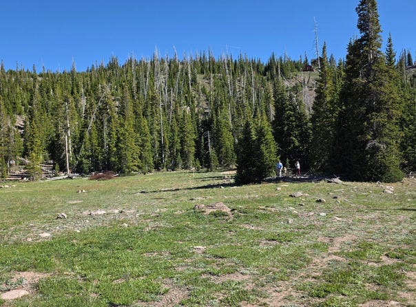 39 S QUILL Rd, Brian Head, UT 84719