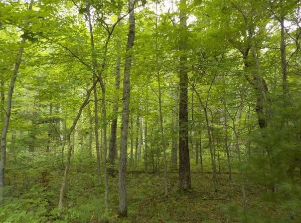 Lot 17 Jamesway Road, Siren, WI 54872