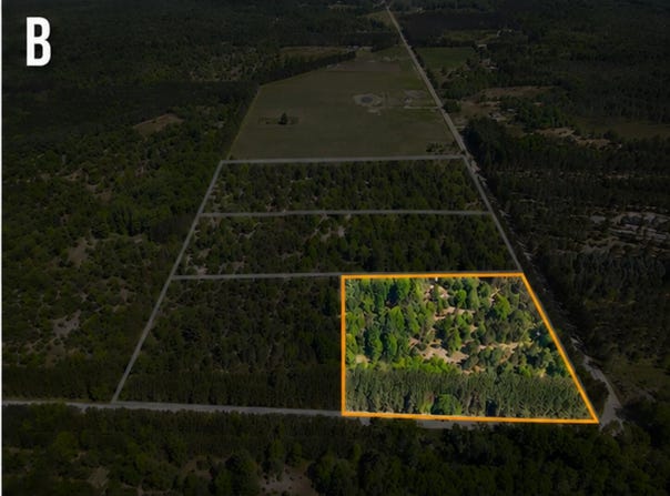 Parcel B Makinen Road, Kaleva, MI 49645