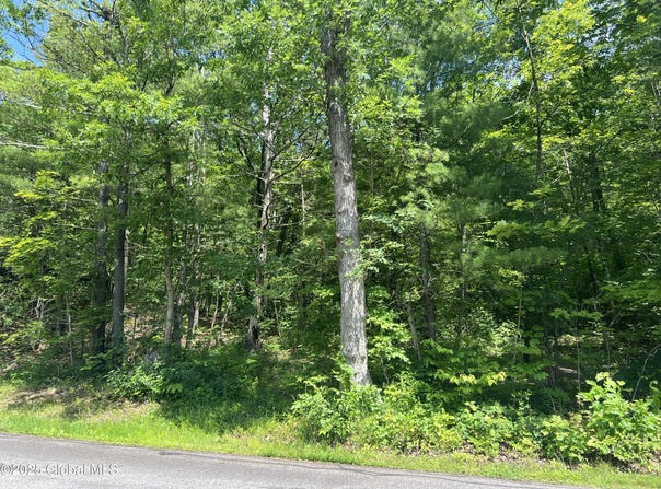 L20.1 Vosenkill Road, Athens, NY 12015