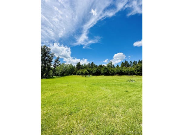 Hawks Drive lot: Parcel B, Republic, MI 49879