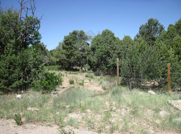 16 ROADRUNNER Road, Tijeras, NM 87059