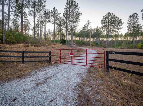 4090 COUNTY ROAD 62, GAYLESVILLE, AL 35973