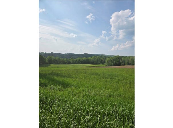 0 Backus Road, New Lisbon, NY 13810