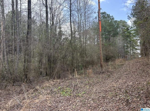 1355 OLD PORT DRIVE lot: 1, MULGA, AL 35118