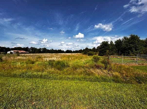 111 McManus, Rayville, LA 71269