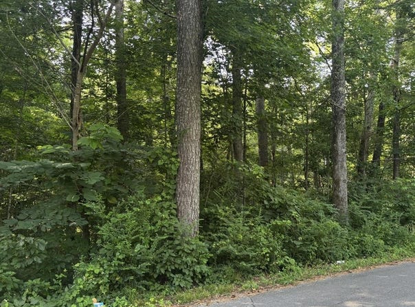 00 Tony Ave, Russellville, AL 35653