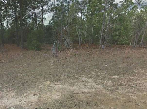 254 BRUSSELS Avenue, INTERLACHEN, FL 32148