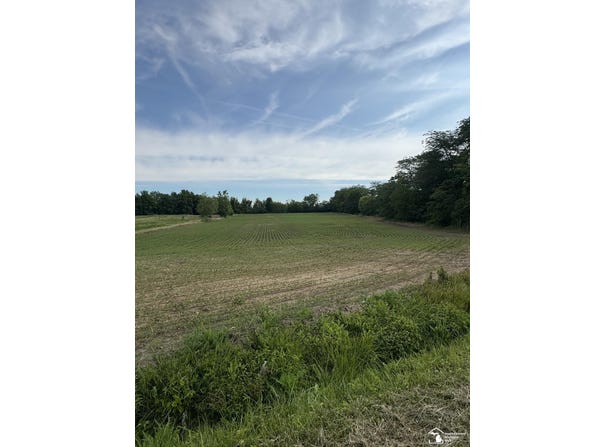 Dixon Road, Monroe, MI 48161