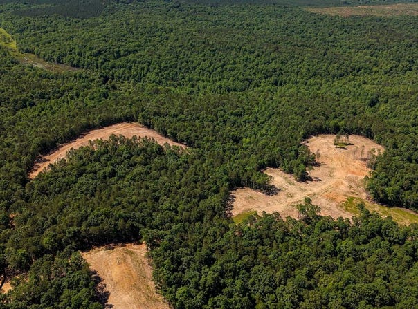 Wolf Pen Rd, Pocahontas, TN 38061