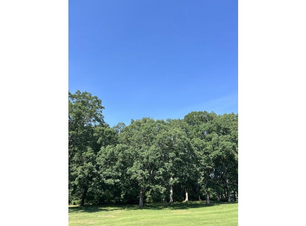 1 Lilac Lane, Grand Beach, MI 49117