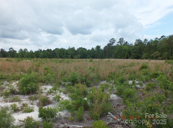 Oak Ridge Church Road, Kershaw, SC 29067