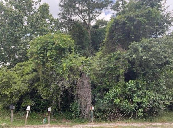 Hwy 129, Claxton, GA 30147